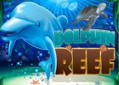 Panduan Bermain Dolphin Reef pada Aplikasi Mega888